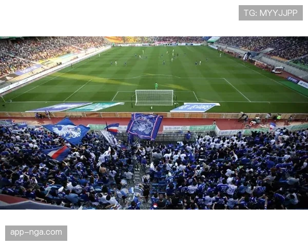 德国足球博物馆宣布将举办“德甲60年”特别展览 德国足球博物馆宣布将举办“德甲60年”特别展览